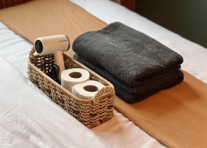 Spacious 1br With 300mbps Internet Near High Street Bgc Manila